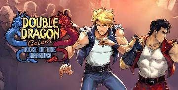 Double Dragon Gaiden Rise Of The Dragons (Nintendo Switch)